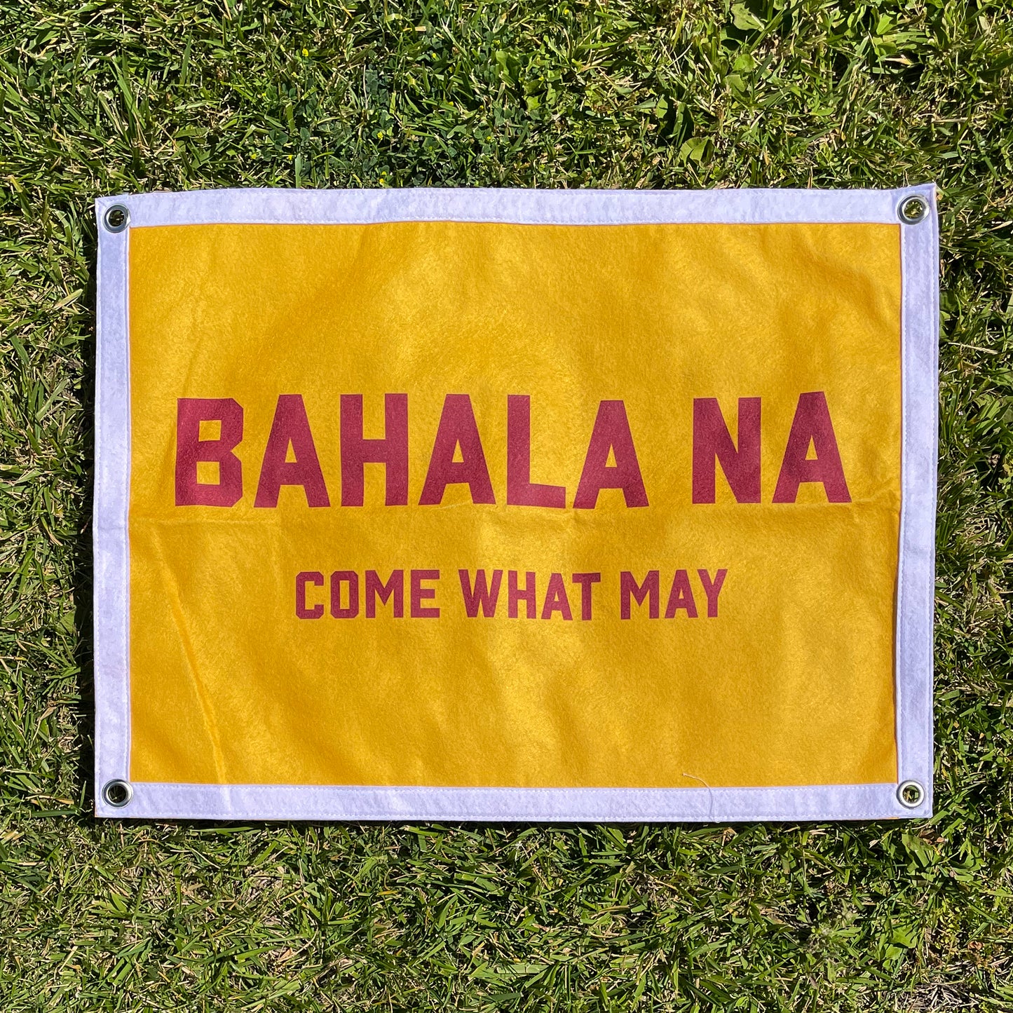 Bahala Na Flag